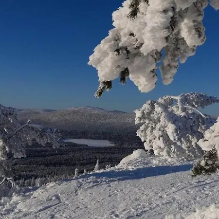 Leviloma - 27m2 B - Levistar - Levistar