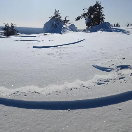 Leviloma - 27m2 B - Levistar - Levistar Apartment *