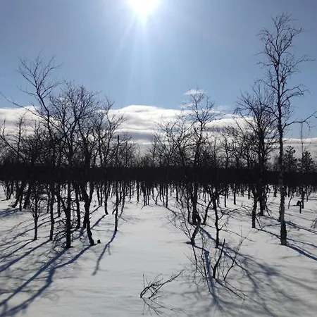 Leviloma - 27m2 B - Levistar - Levistar Апартаменты Леви