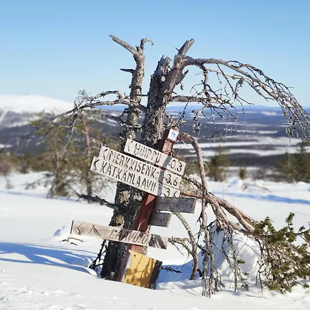 Leviloma - 27m2 B - Levistar - Levistar דירה