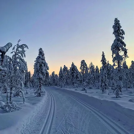 Leviloma - 27m2 B - Levistar - Levistar *