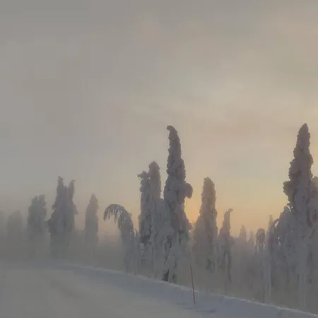 Apartment Leviloma - 27m2 B - Levistar - Levistar Levi