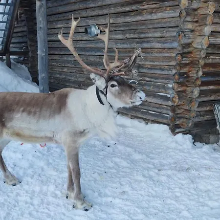 Leviloma - 27m2 B - Levistar - Levistar לוי