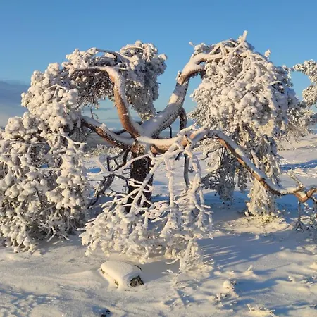 דירה Leviloma - 27m2 B - Levistar - Levistar לוי