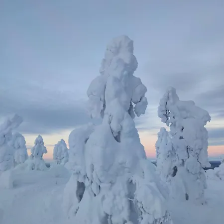 Leviloma - 27m2 B - Levistar - Levistar *