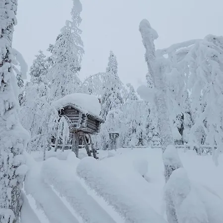 Leviloma - 27m2 B - Levistar - Levistar דירה לוי