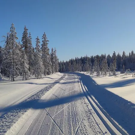 Leviloma - 27m2 B - Levistar - Levistar *