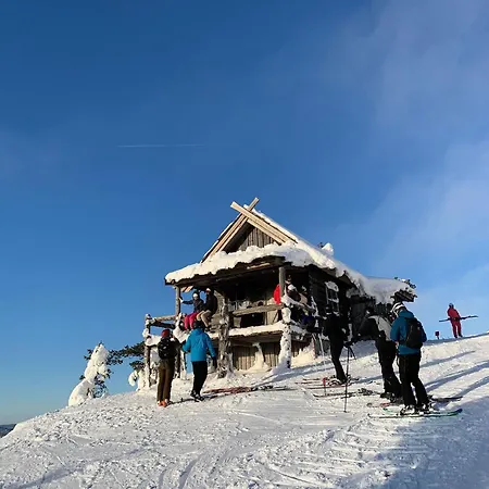 Leviloma - 27m2 B - Levistar - Levistar דירה